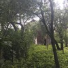 фото объявления
