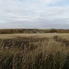 фото объявления