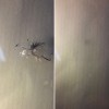 фото объявления