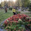 фото объявления