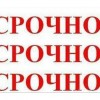 фото объявления