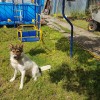 фото объявления