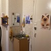 фото объявления