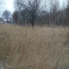 фото объявления