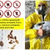 фото объявления