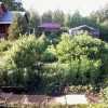 фото объявления