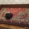 фото объявления