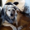 фото объявления