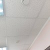 фото объявления