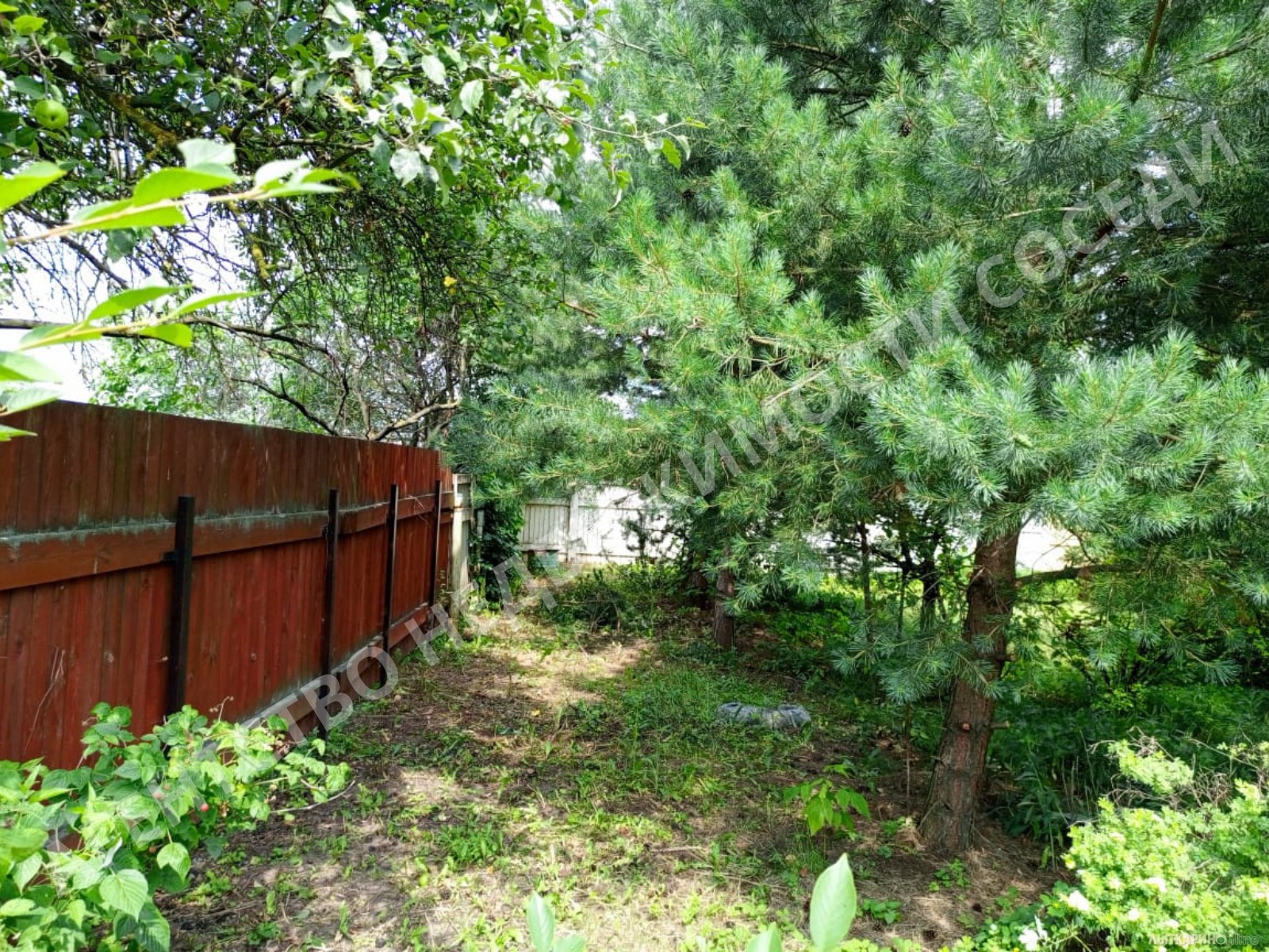 2-эт дачный дом, 72 м? на участке 6 сот., свет и вода (село Голочелово ...