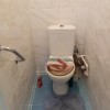 фото объявления