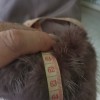 фото объявления