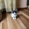 фото объявления