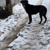 фото объявления