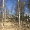 фото объявления