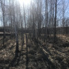 фото объявления