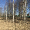 фото объявления