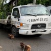 фото объявления