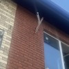 фото объявления