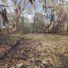 фото объявления