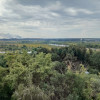 фото объявления