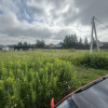 фото объявления