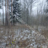 фото объявления