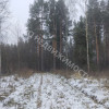 фото объявления